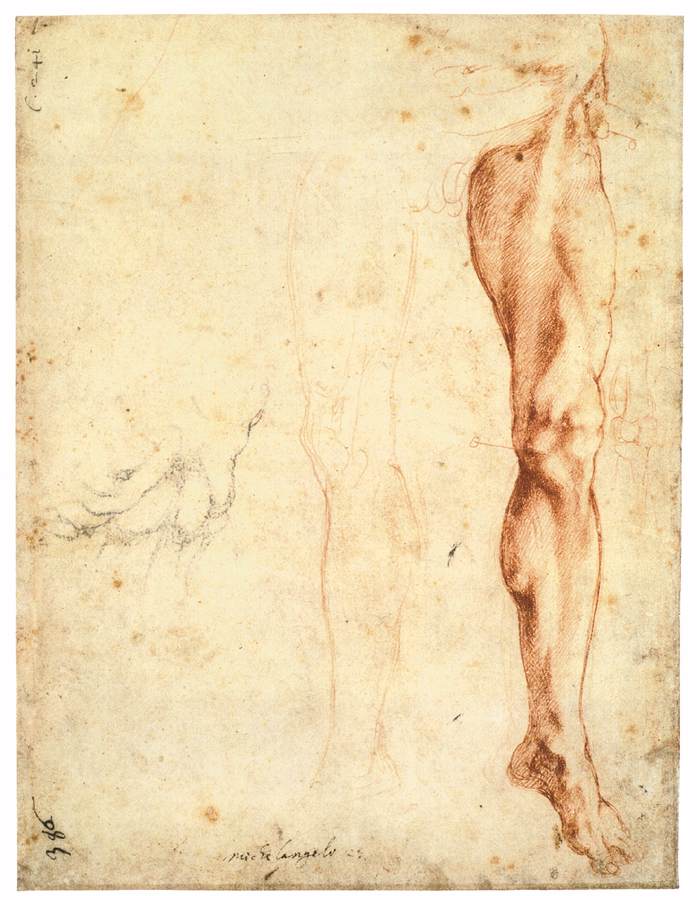 Michelangelo-Buonarroti (40).jpg